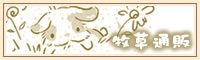qʔ̃Vbv̎舵q
