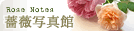 KNʐ^